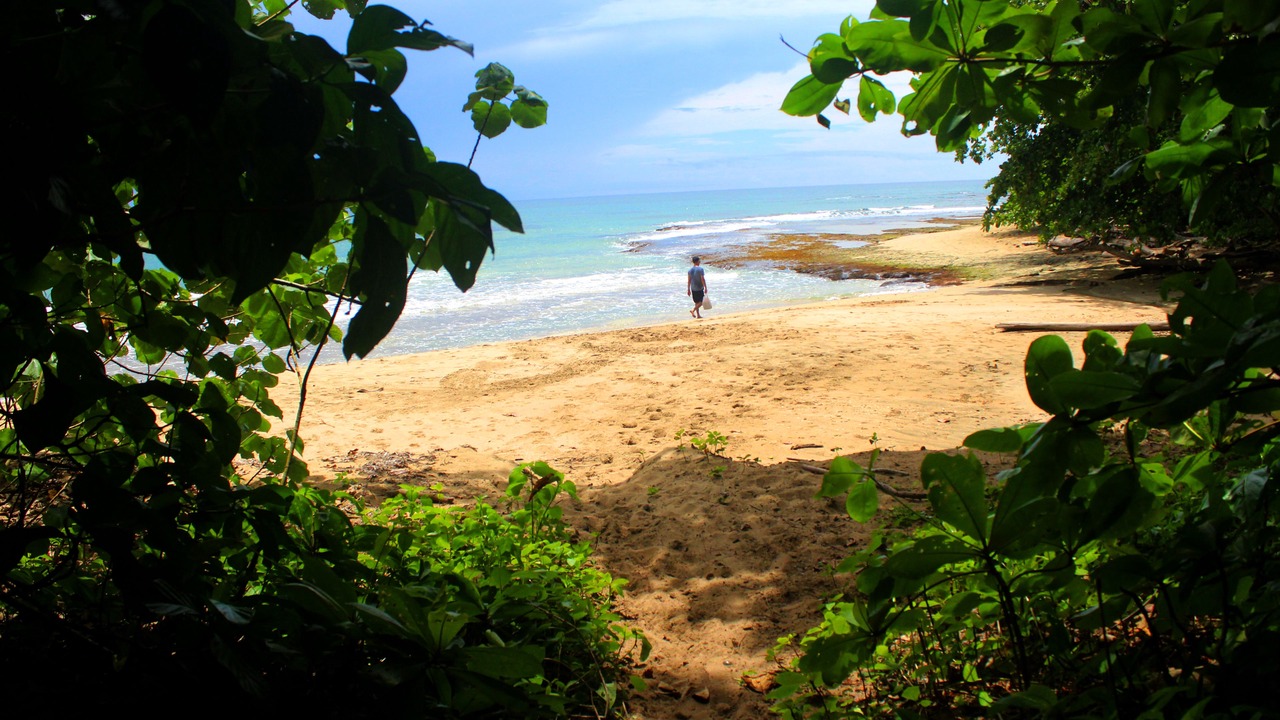 Photo of Others in Cahuita