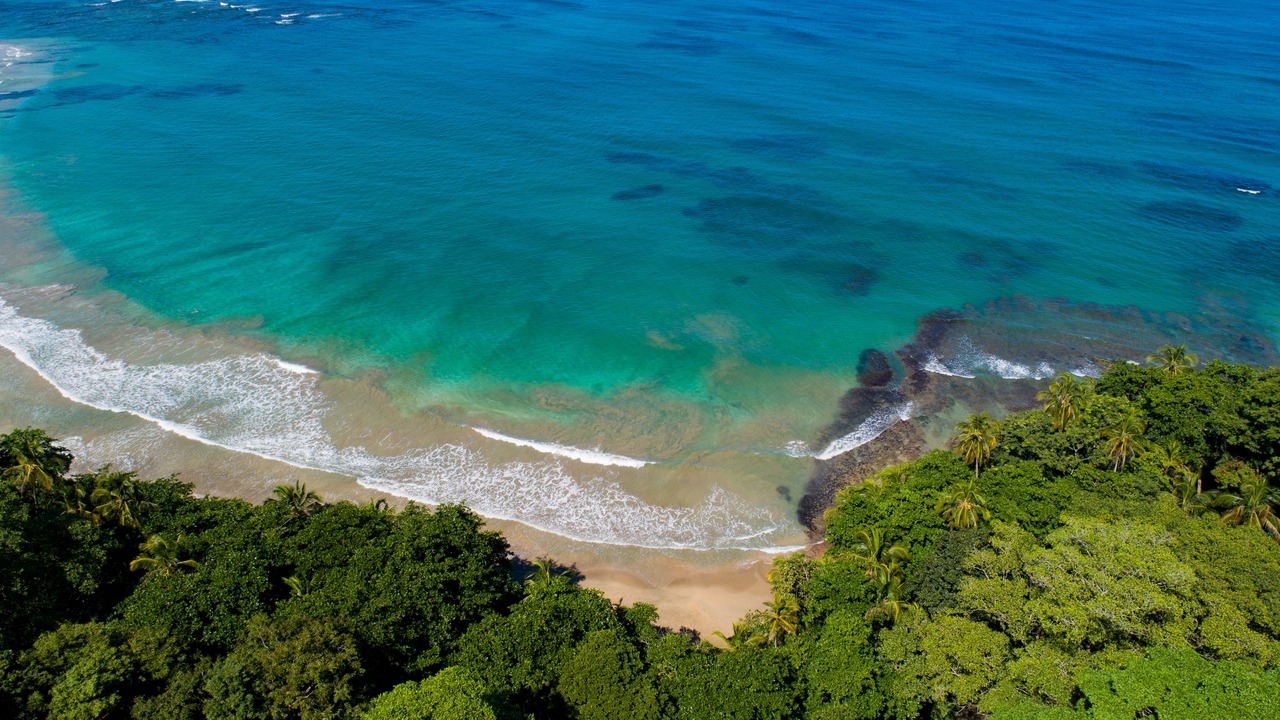 Photo of Outdoor in Cahuita