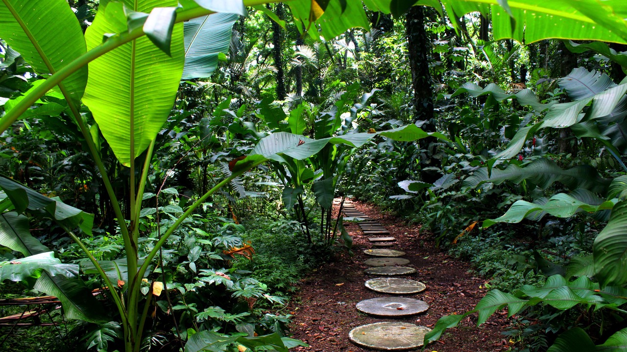 Photo of Others in Cahuita