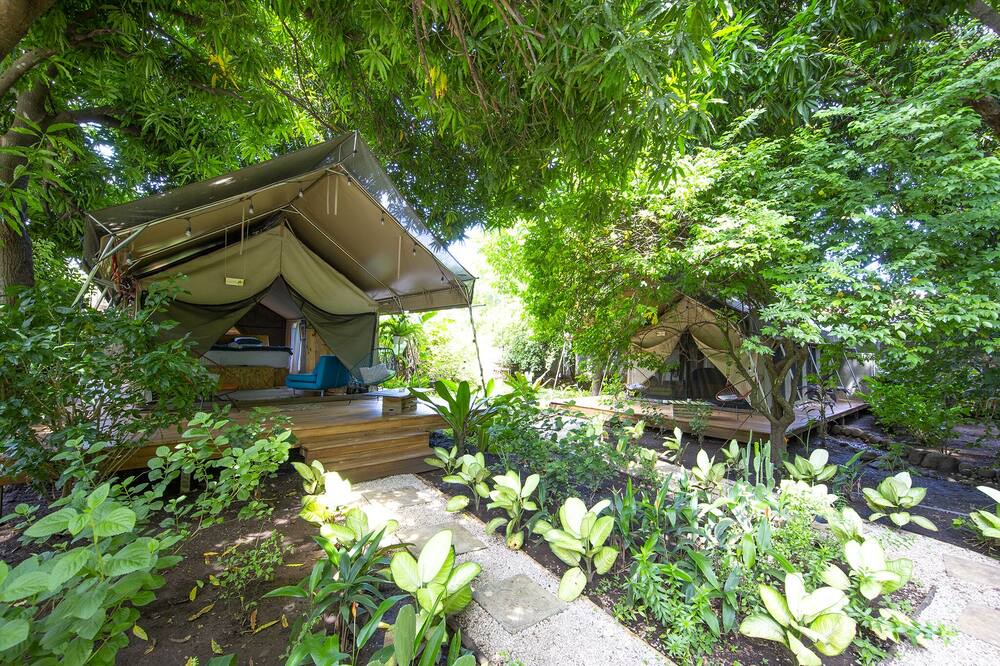 Photo of Outdoor in Potrero