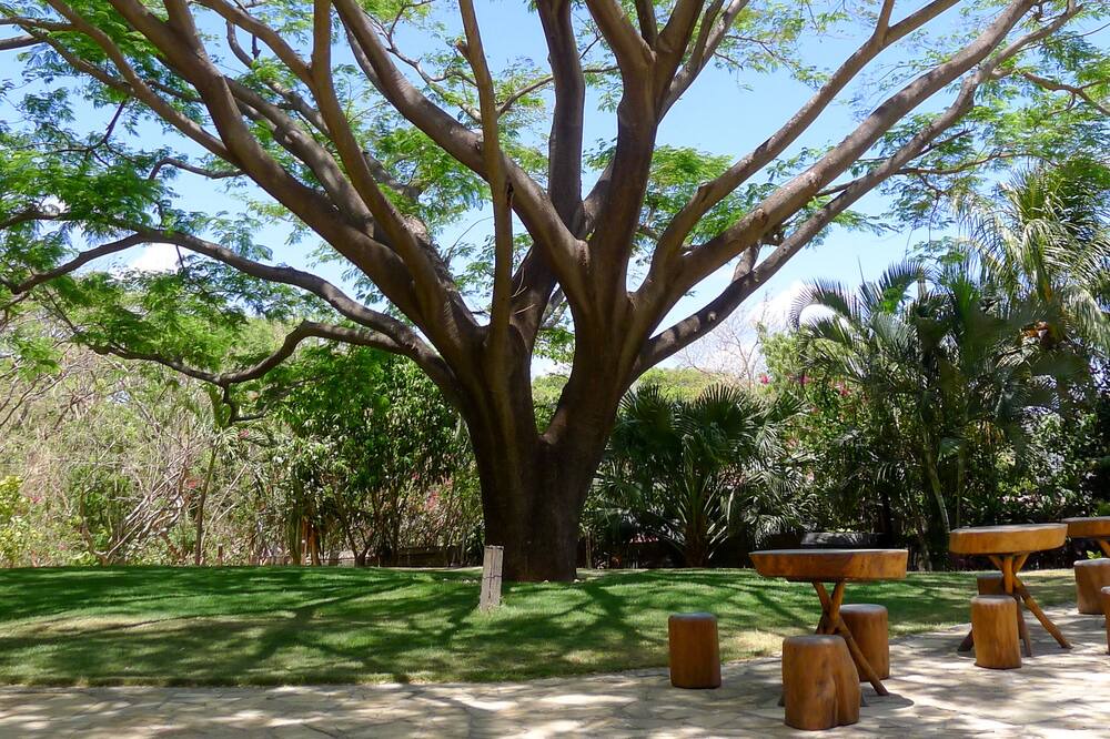 Photo of Outdoor in San Juan del Sur