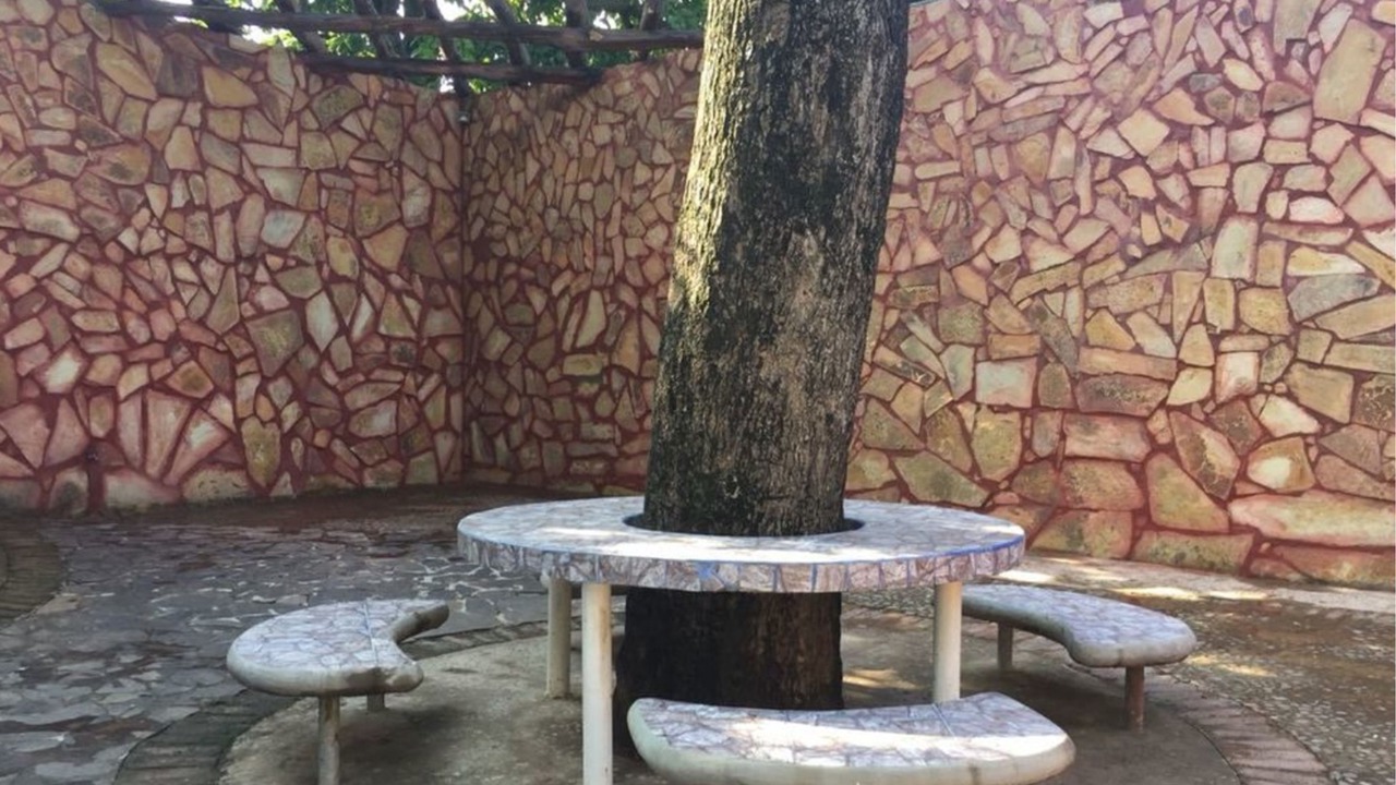 Photo of Patio Balcony in Rivas