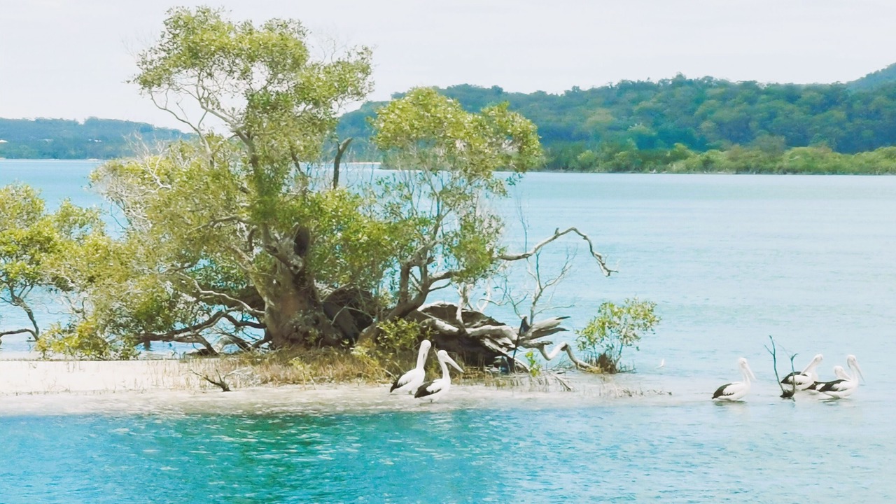 Photo of Others in Coomera