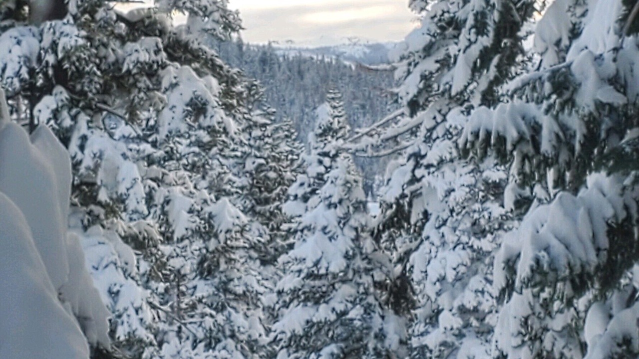 Photo of Outdoor in Bear Valley