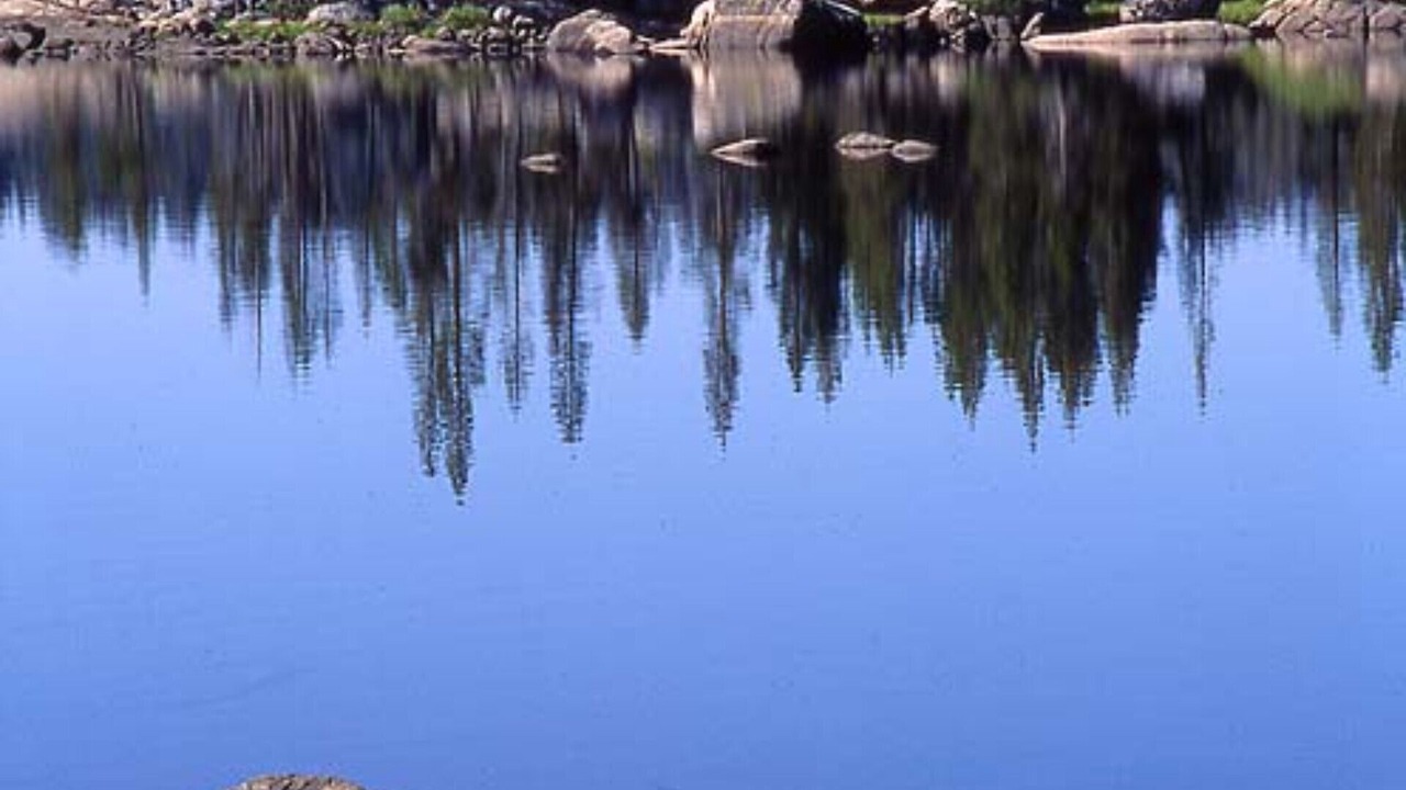 Photo of Others in Bear Valley
