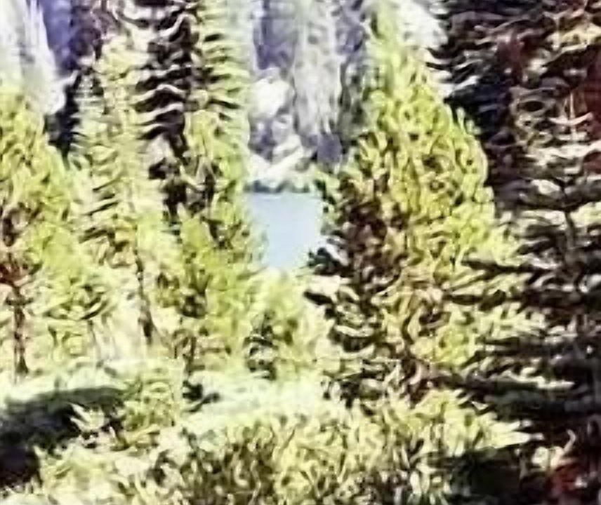 Photo of Outdoor in Bear Valley