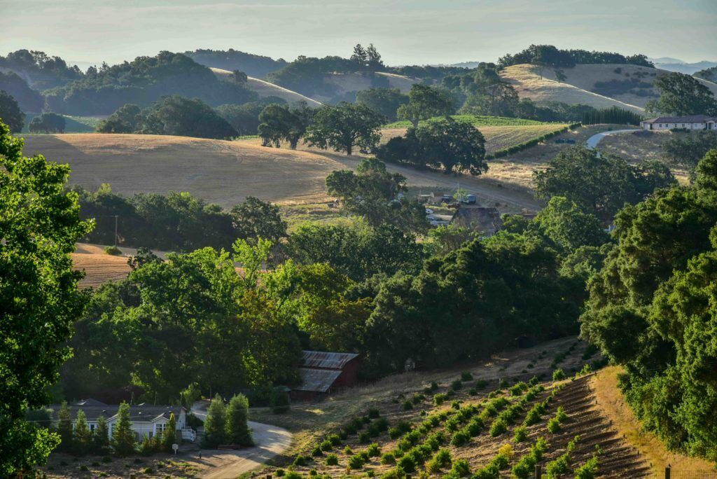 Photo of Outdoor in Paso Robles