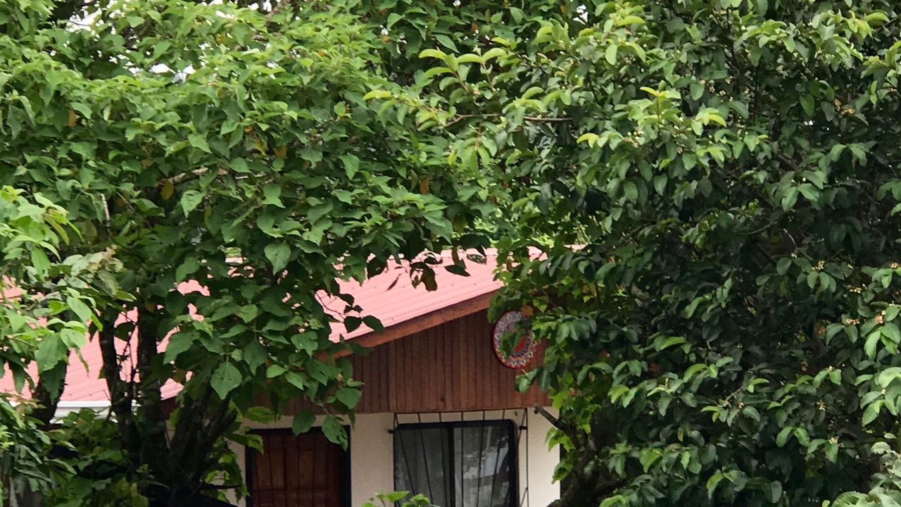 Photo of Outdoor in Sierra