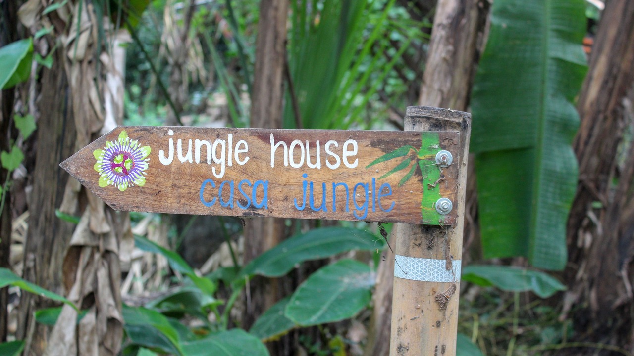 Photo of Outdoor in Balgue