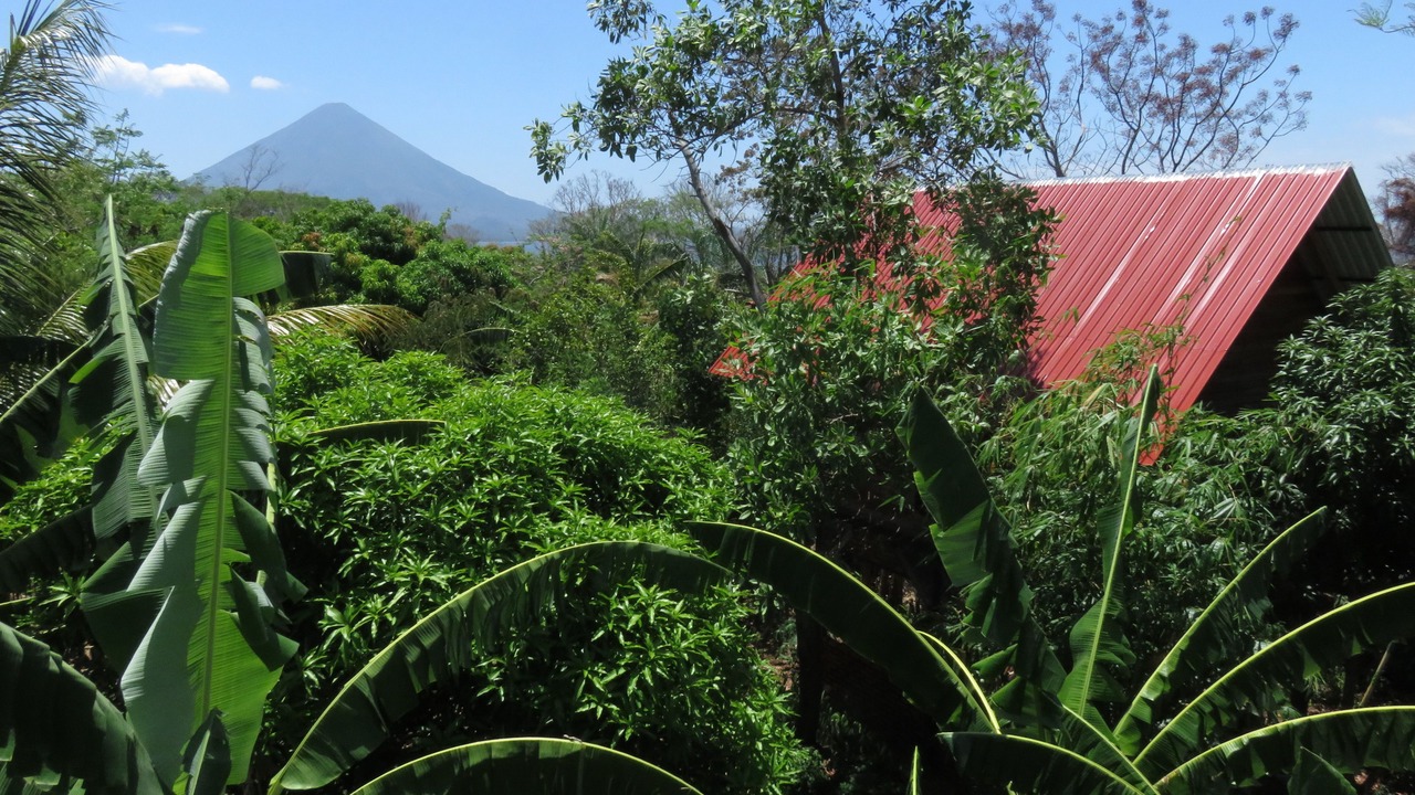 Photo of Outdoor in Balgue