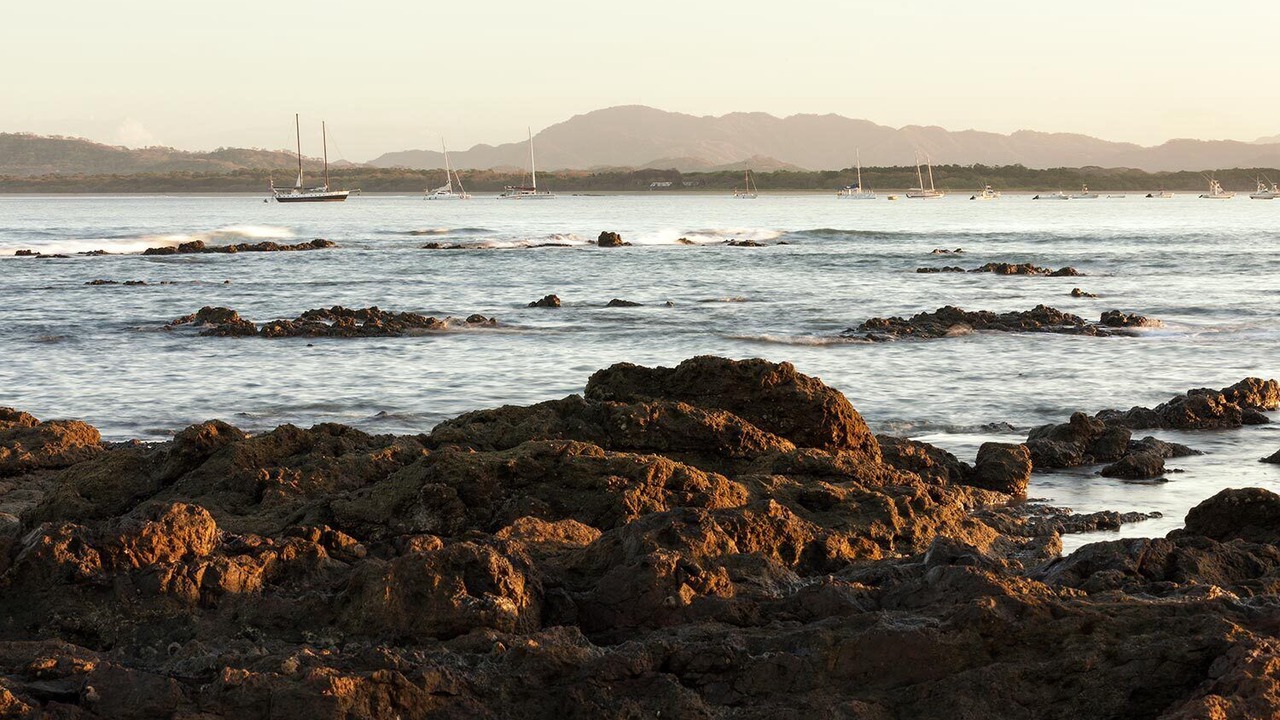 Photo of Others in Tamarindo