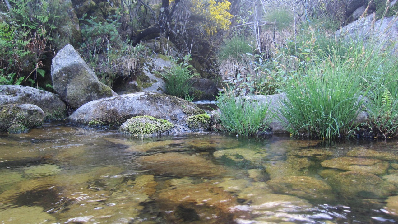 Photo of Outdoor in Unhais da Serra