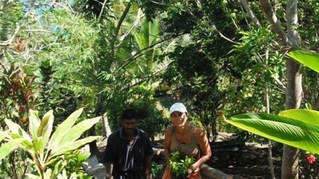 Photo of Outdoor in Savusavu