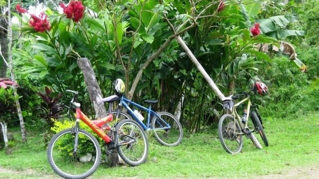 Photo of Outdoor in Savusavu