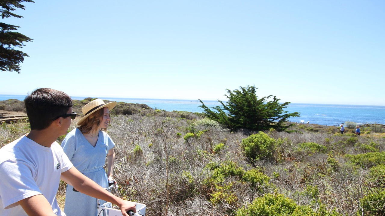 Photo of Outdoor in San Simeon