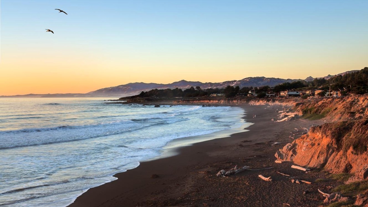 Photo of Others in San Simeon