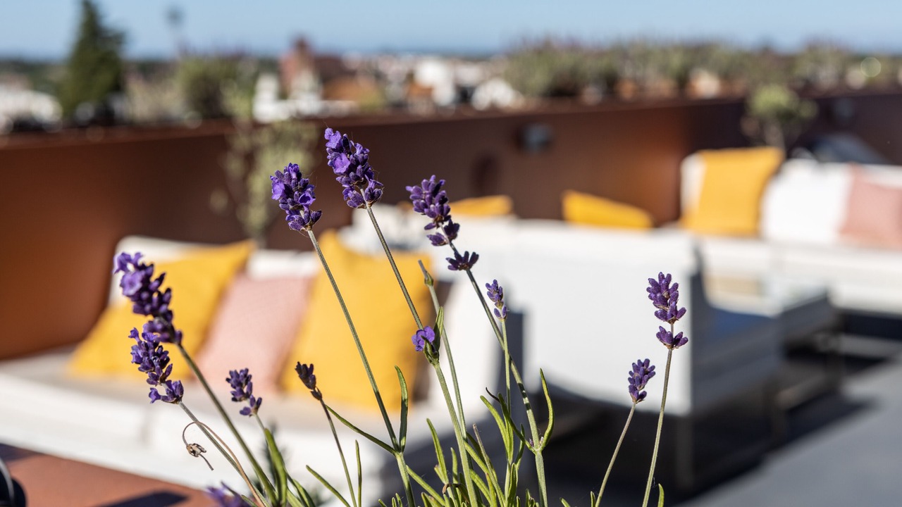 Photo of Outdoor in Evora