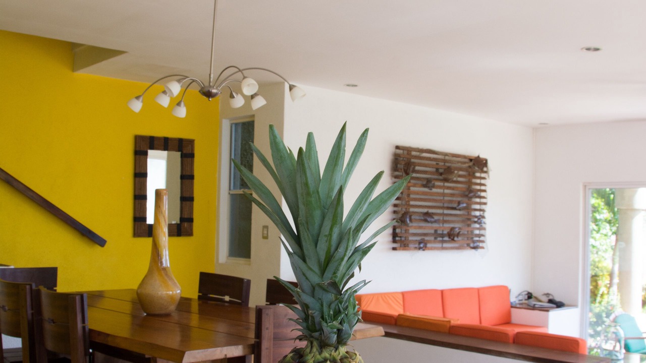Photo of Kitchen in San Juan del Sur