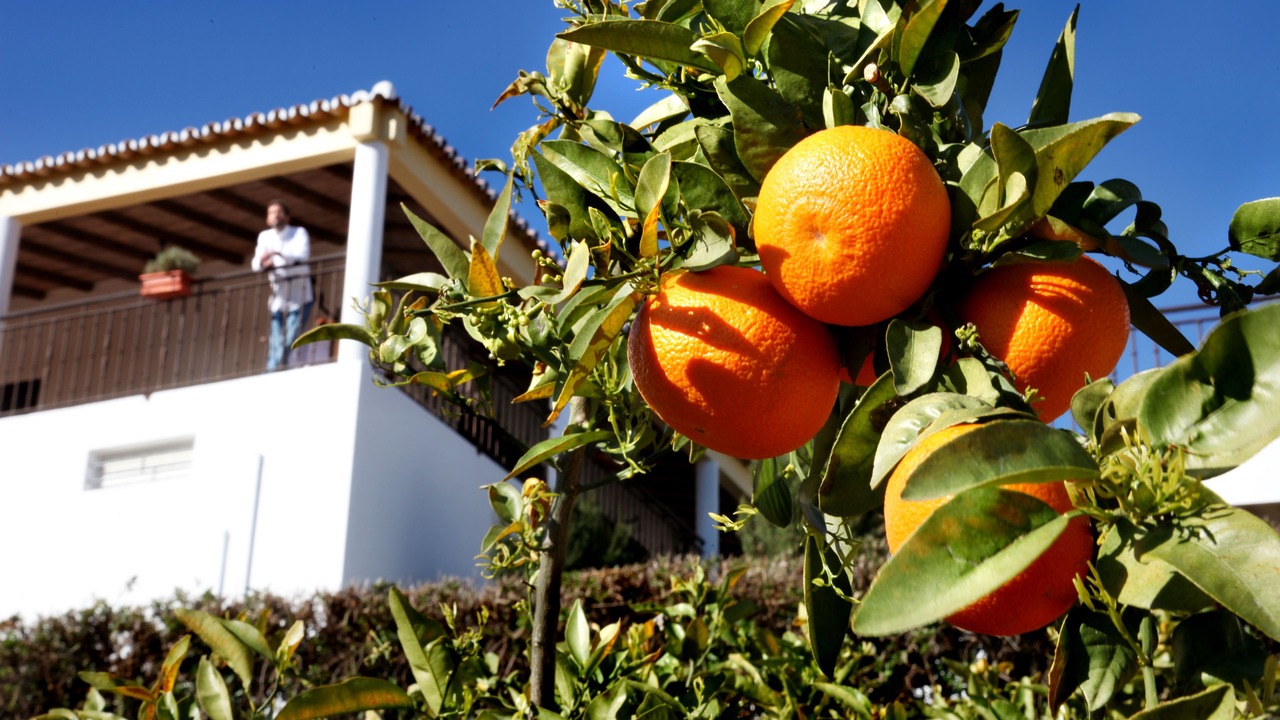 Photo of Outdoor in Fonte do Bispo