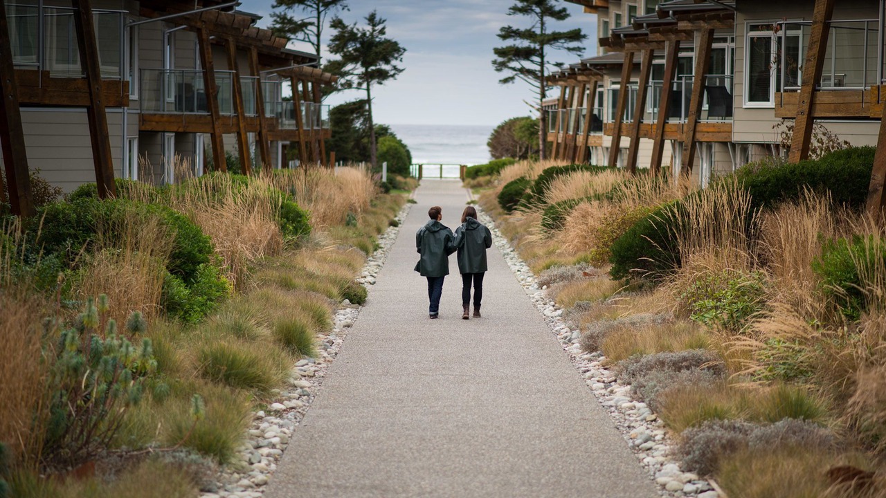 Photo of Others in Tofino