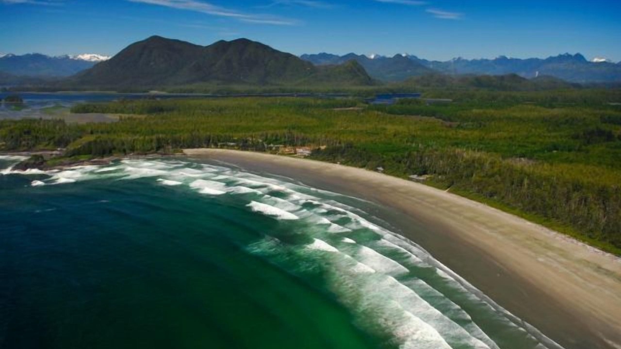 Photo of Others in Tofino