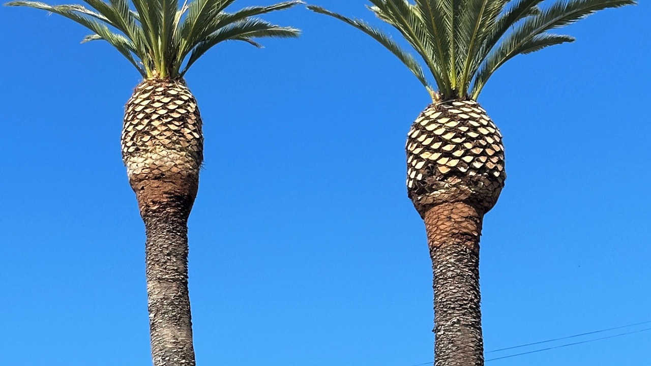 Photo of Outdoor in Cambria