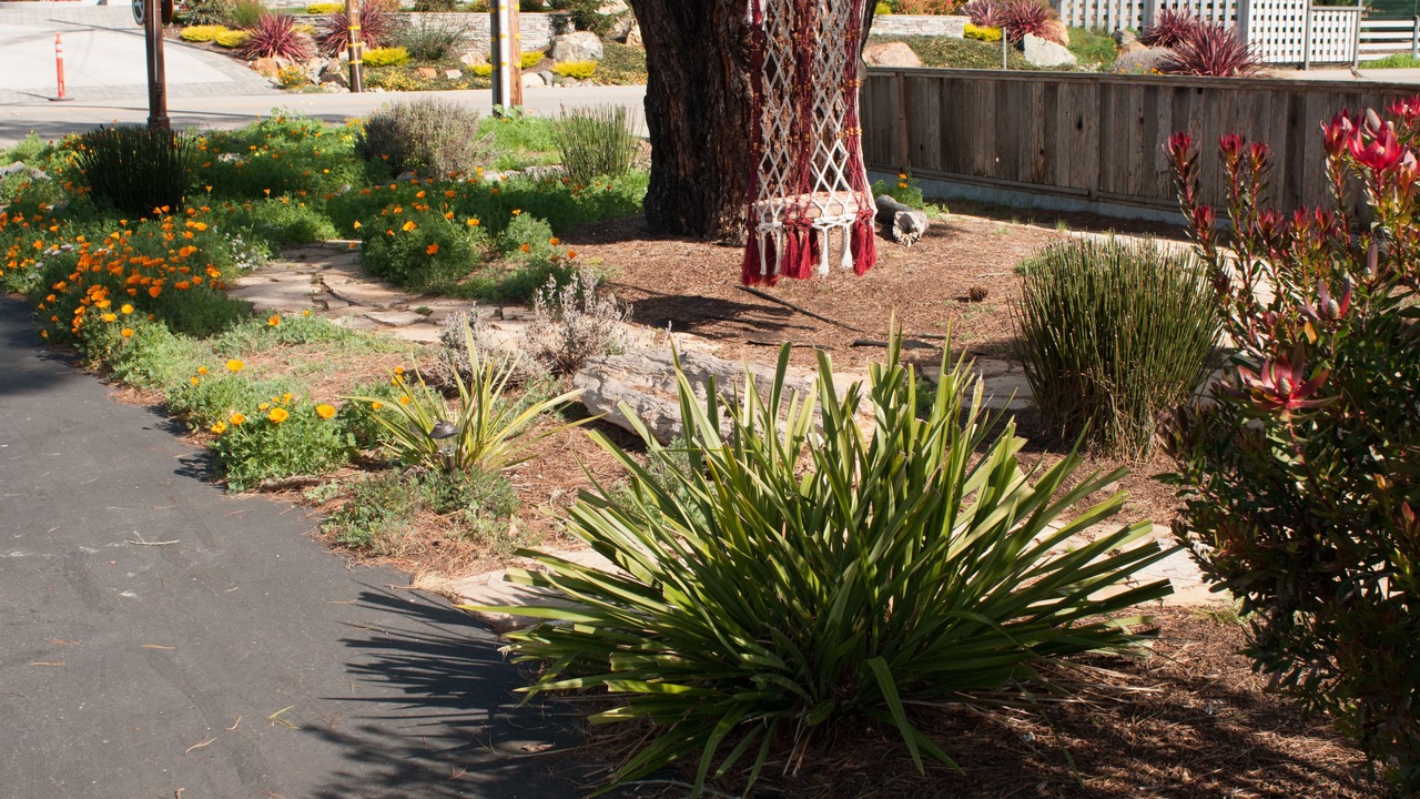 Photo of Outdoor in Cambria