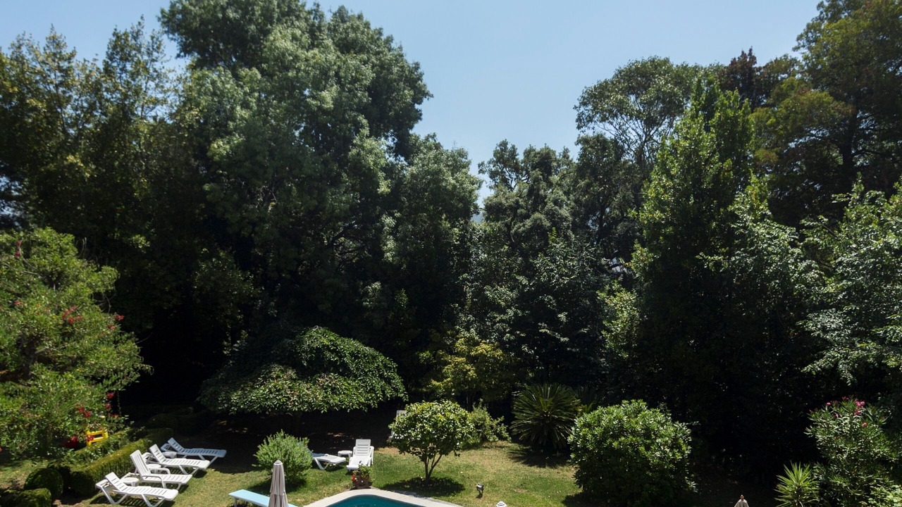 Photo of Outdoor in Luso