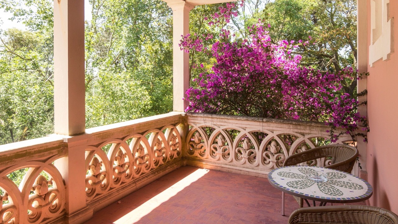 Photo of Outdoor in Luso