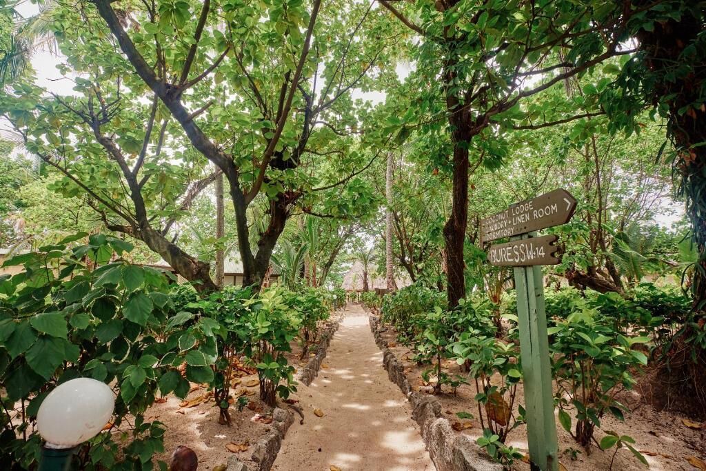 Photo of Outdoor in Beachcomber Island