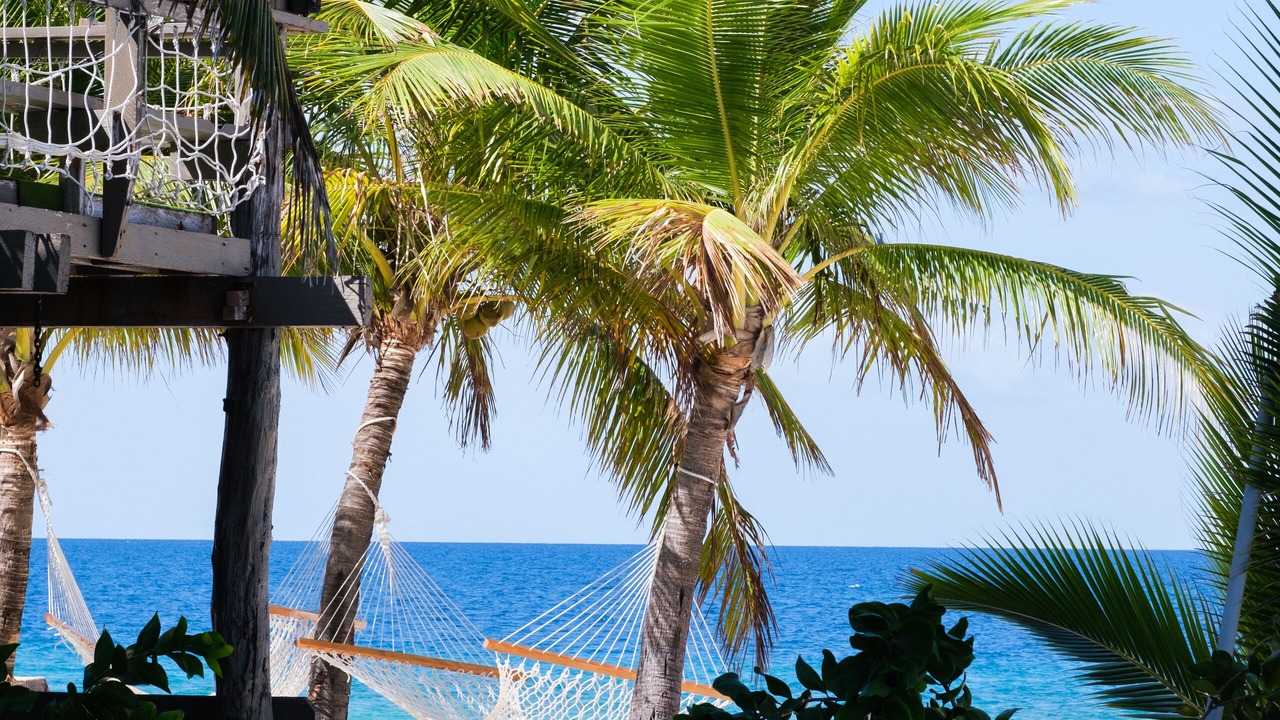Photo of Outdoor in Beachcomber Island