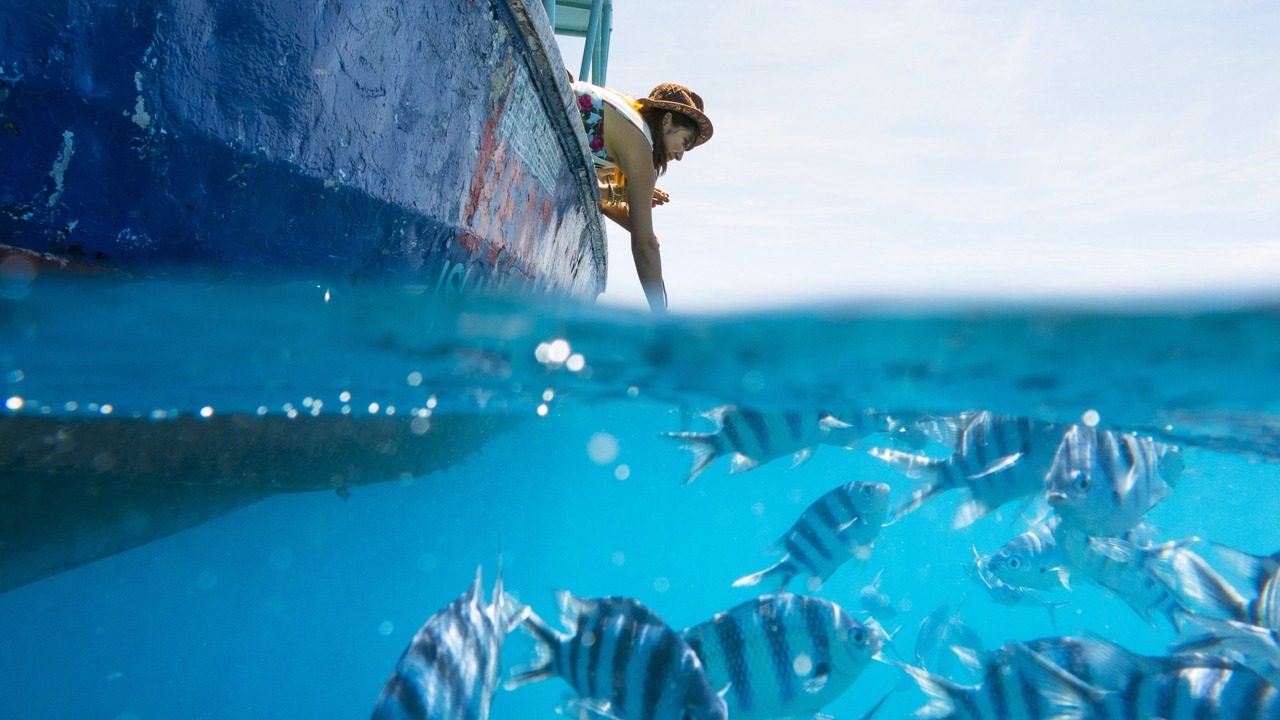 Photo of Others in Beachcomber Island
