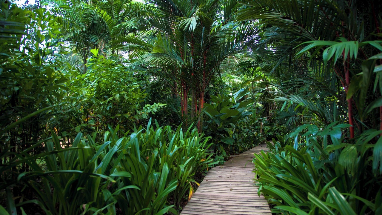 Photo of Outdoor in Cocles
