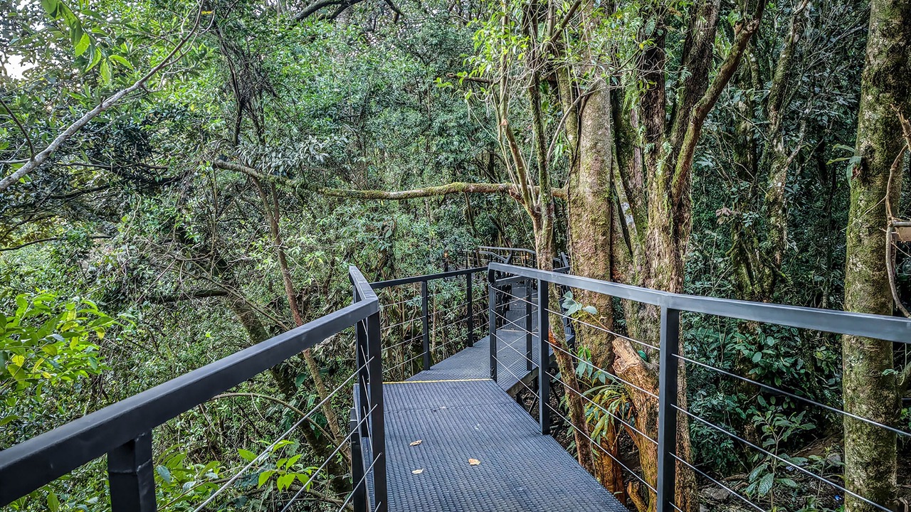 Photo of Outdoor in Monteverde
