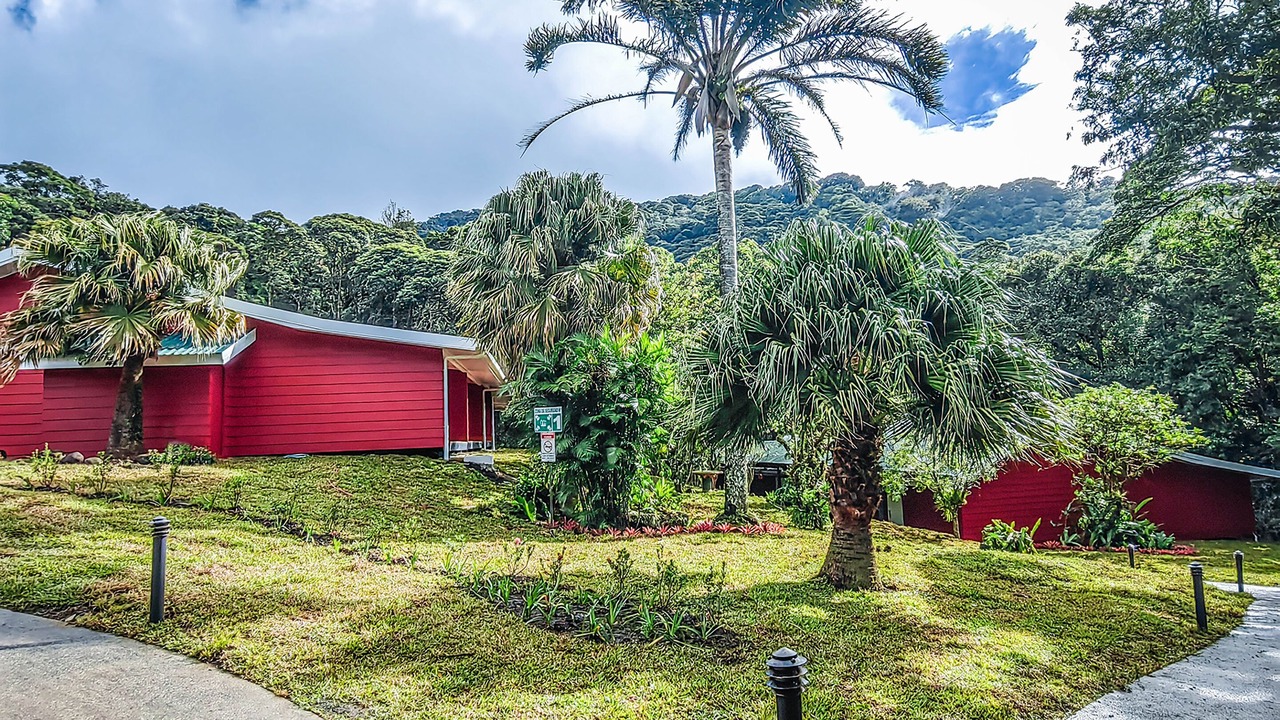 Photo of Outdoor in Monteverde