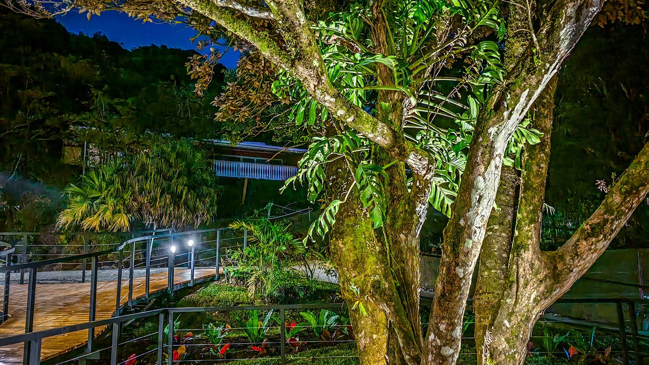 Photo of Outdoor in Monteverde