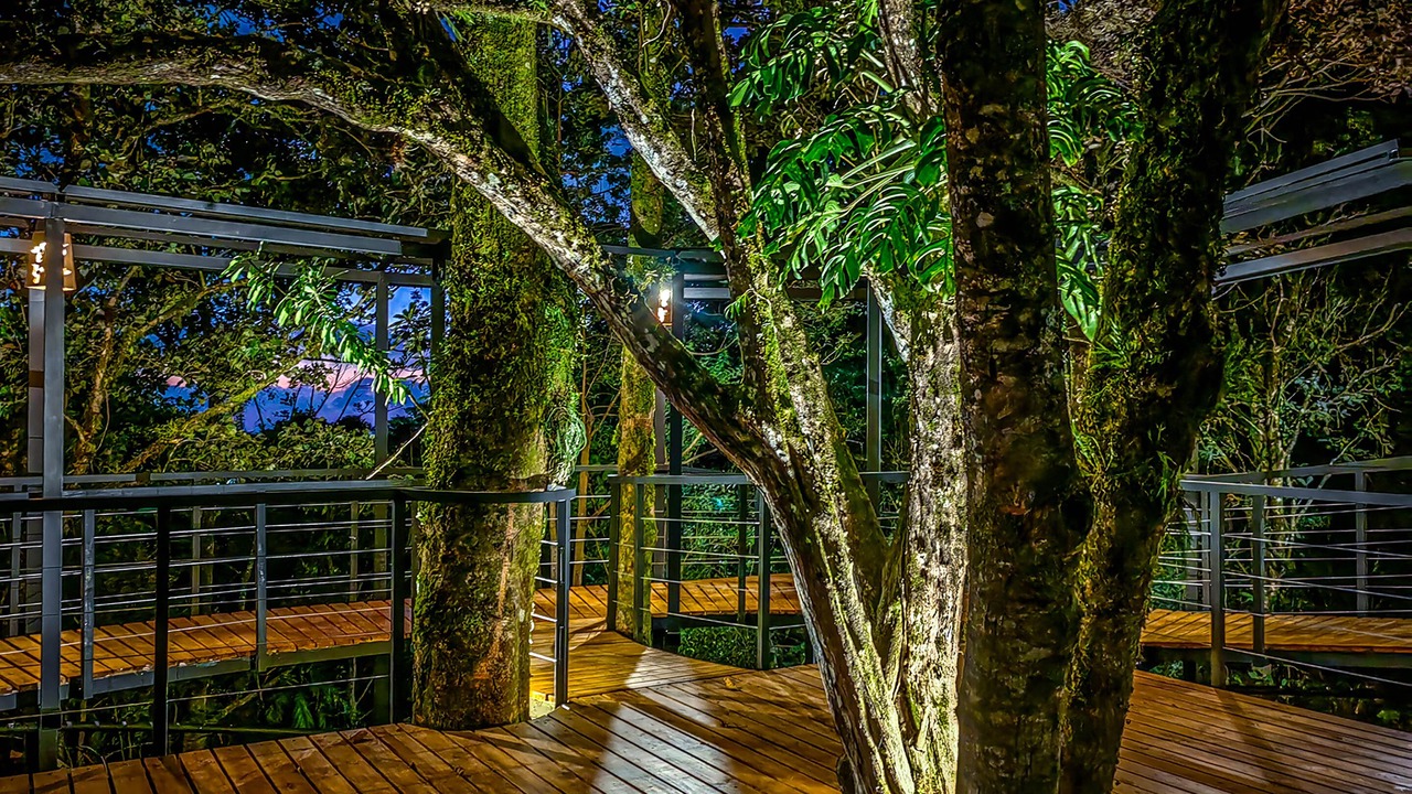 Photo of Outdoor in Monteverde