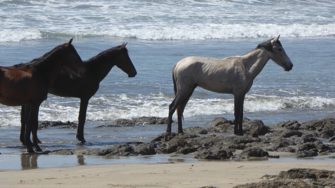 Photo of Others in Cabo Velas