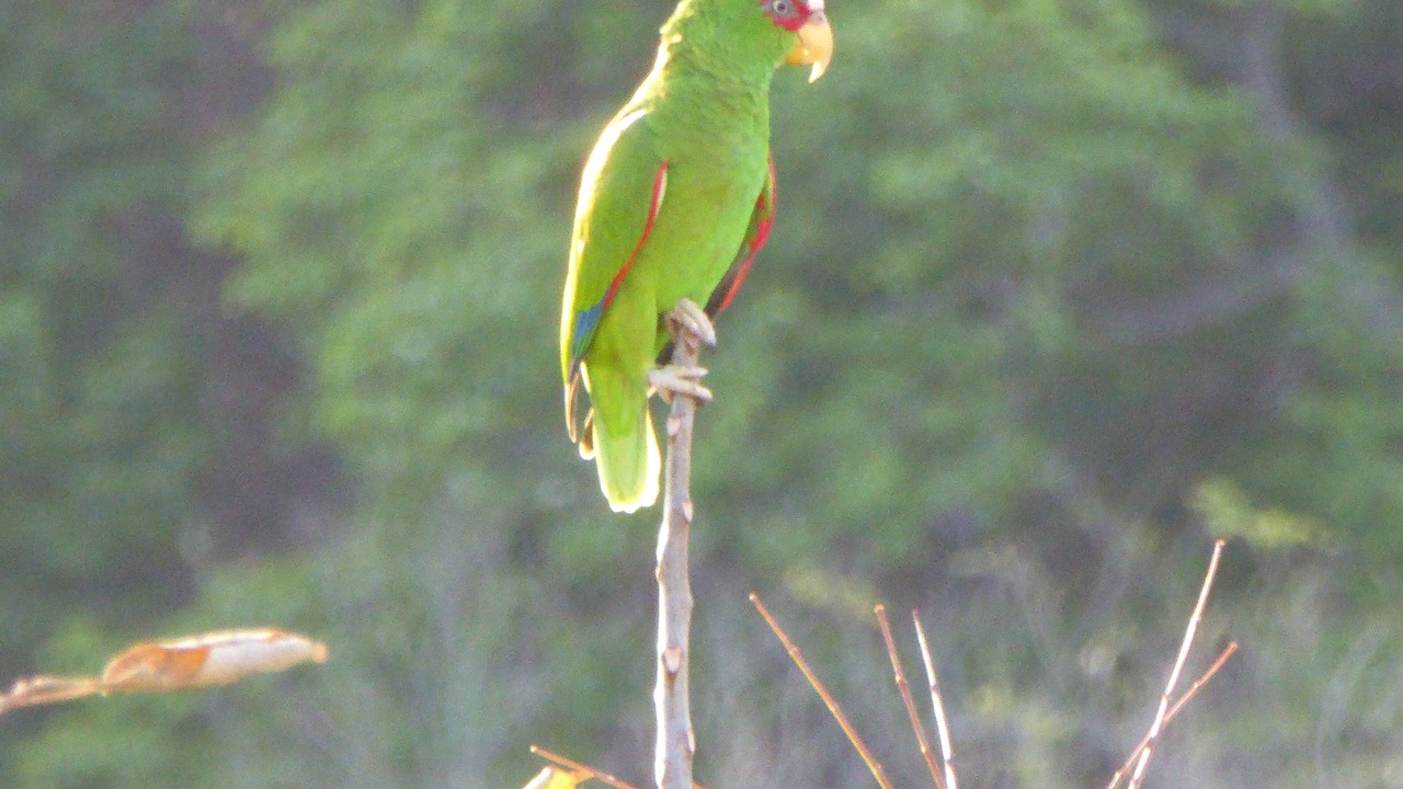 Photo of Outdoor in Cabo Velas