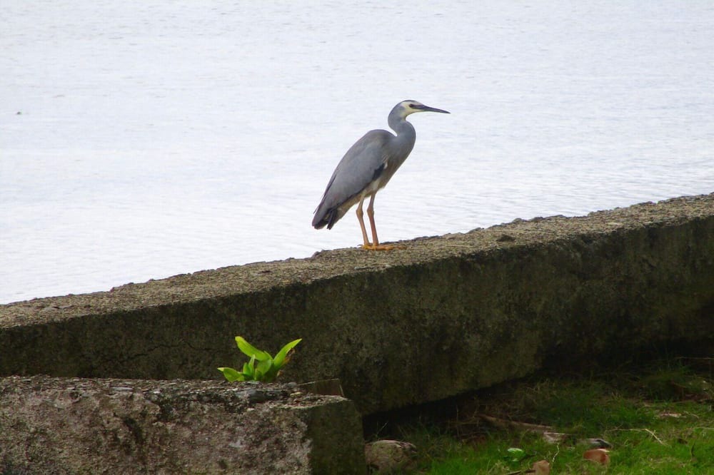 Photo of Others in Korotogo