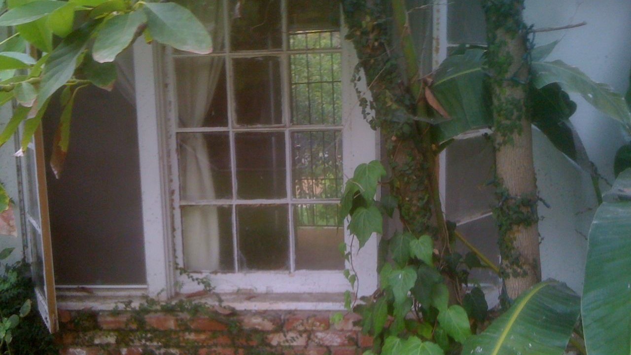 Photo of Outdoor in The Flats