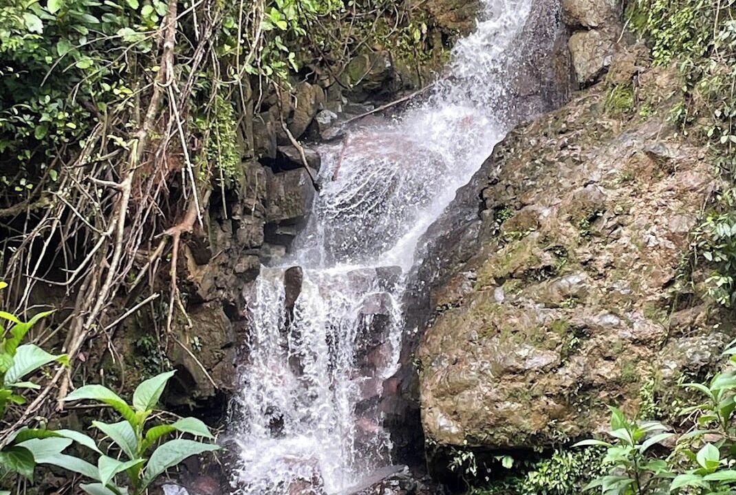 Photo of Outdoor in Cajon
