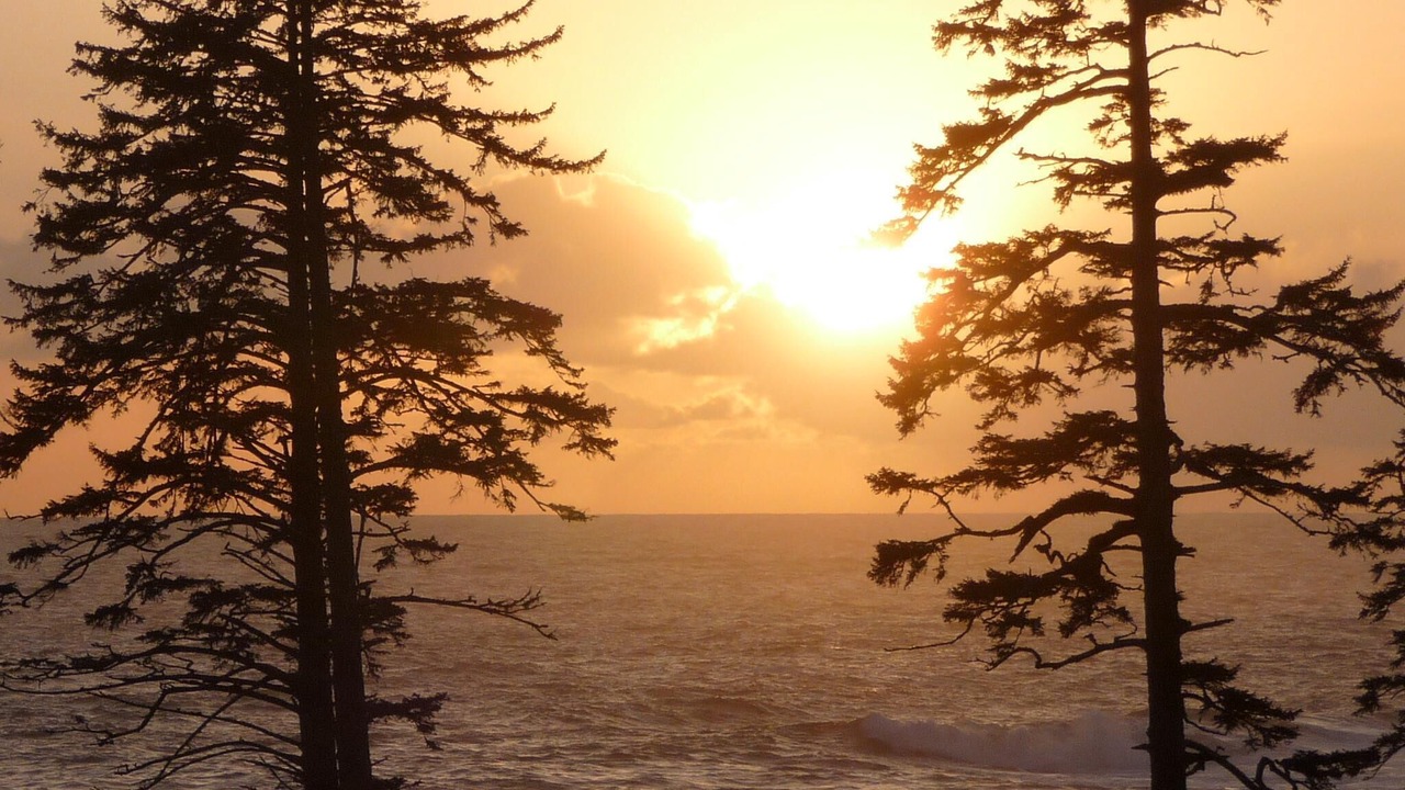 Photo of Others in Ucluelet