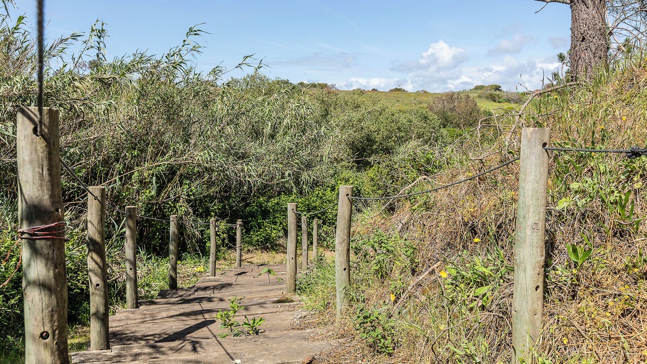 Photo of Outdoor in Almograve