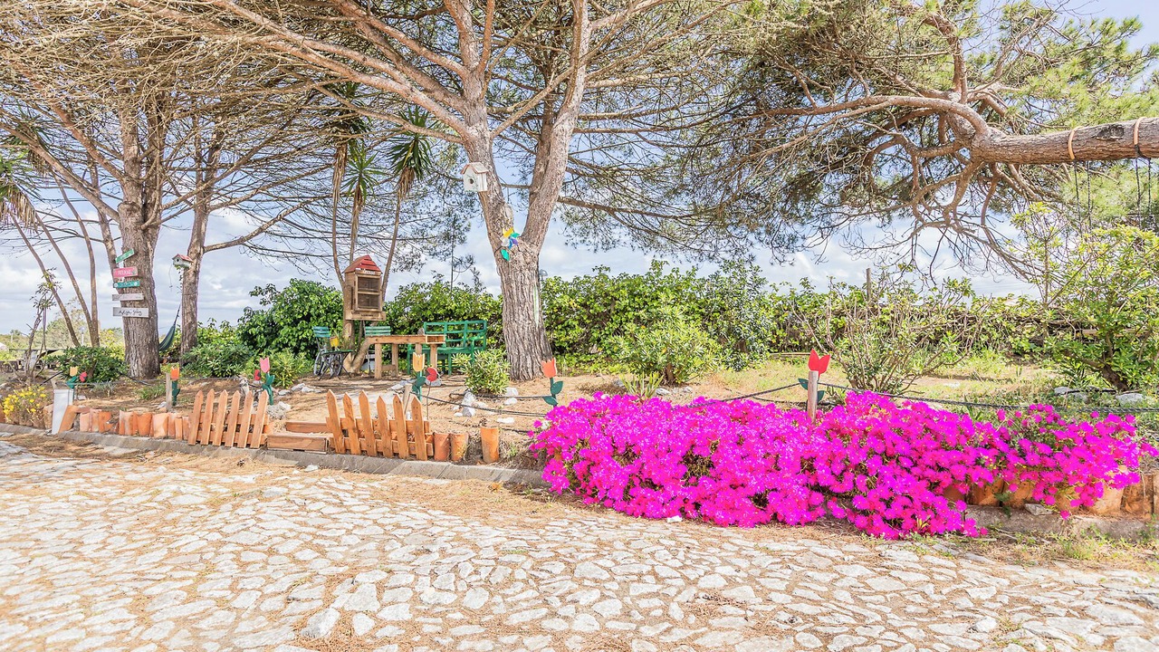 Photo of Outdoor in Almograve