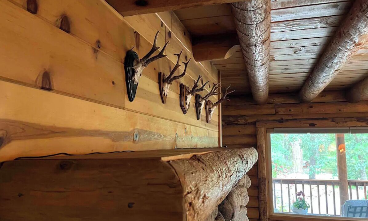 Photo of Livingroom in Idyllwild