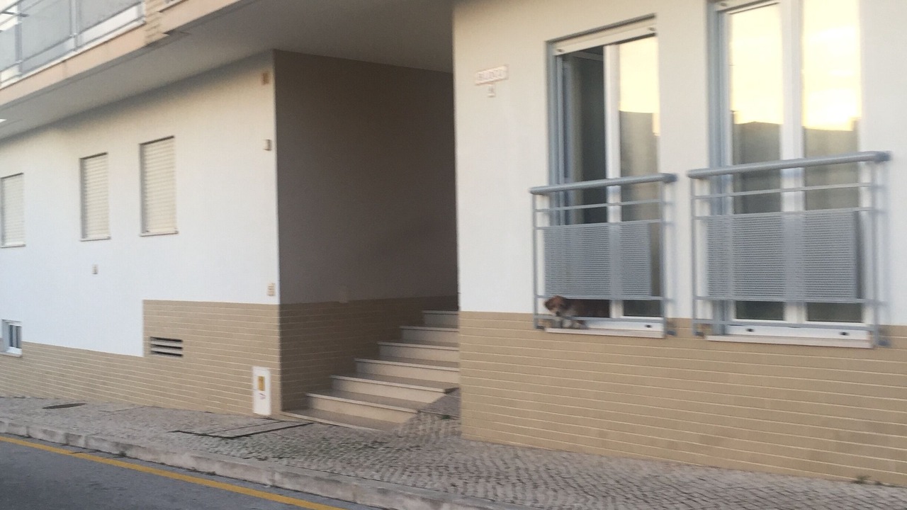 Photo of Outdoor in Nazare