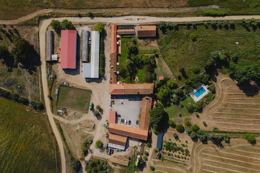 Photo of Outdoor in Evora