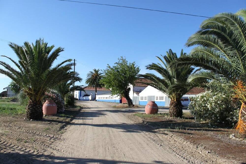 Photo of Outdoor in Evora