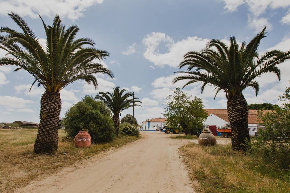 Photo of Outdoor in Evora